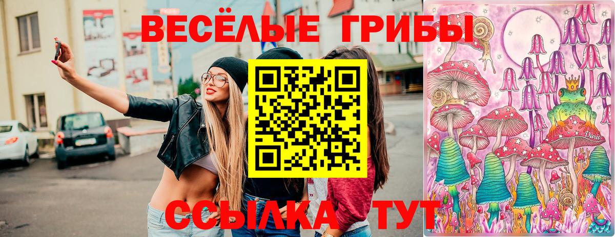 Псилоцибиновые грибы мухоморы  Вход с VPN  Галлюциногенные грибы MAGIC MUSHROOMS  Северобайкальск 